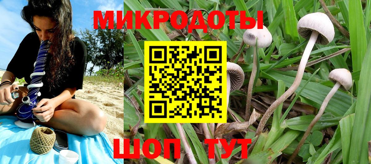 Галлюциногенные грибы Cubensis  Вход с VPN  Карачаевск 